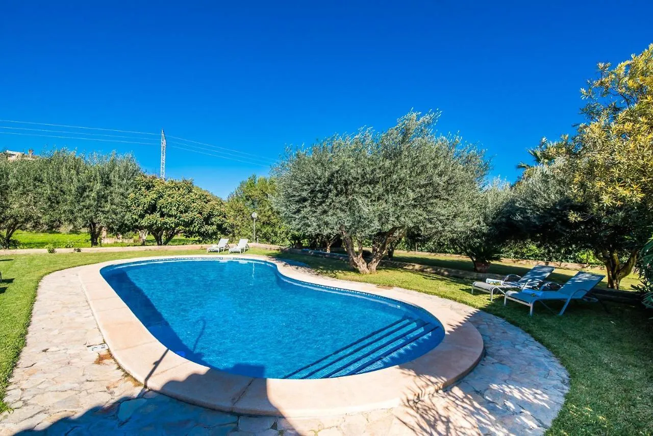 Ideal Property Mallorca - Cas Home Buger