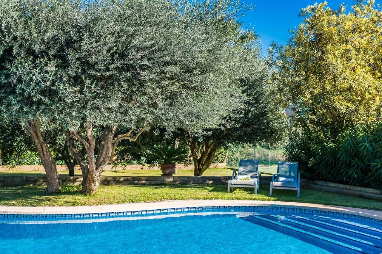 Country house Ideal Property Mallorca - Cas Home Buger
